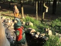 Mermaid & Frog